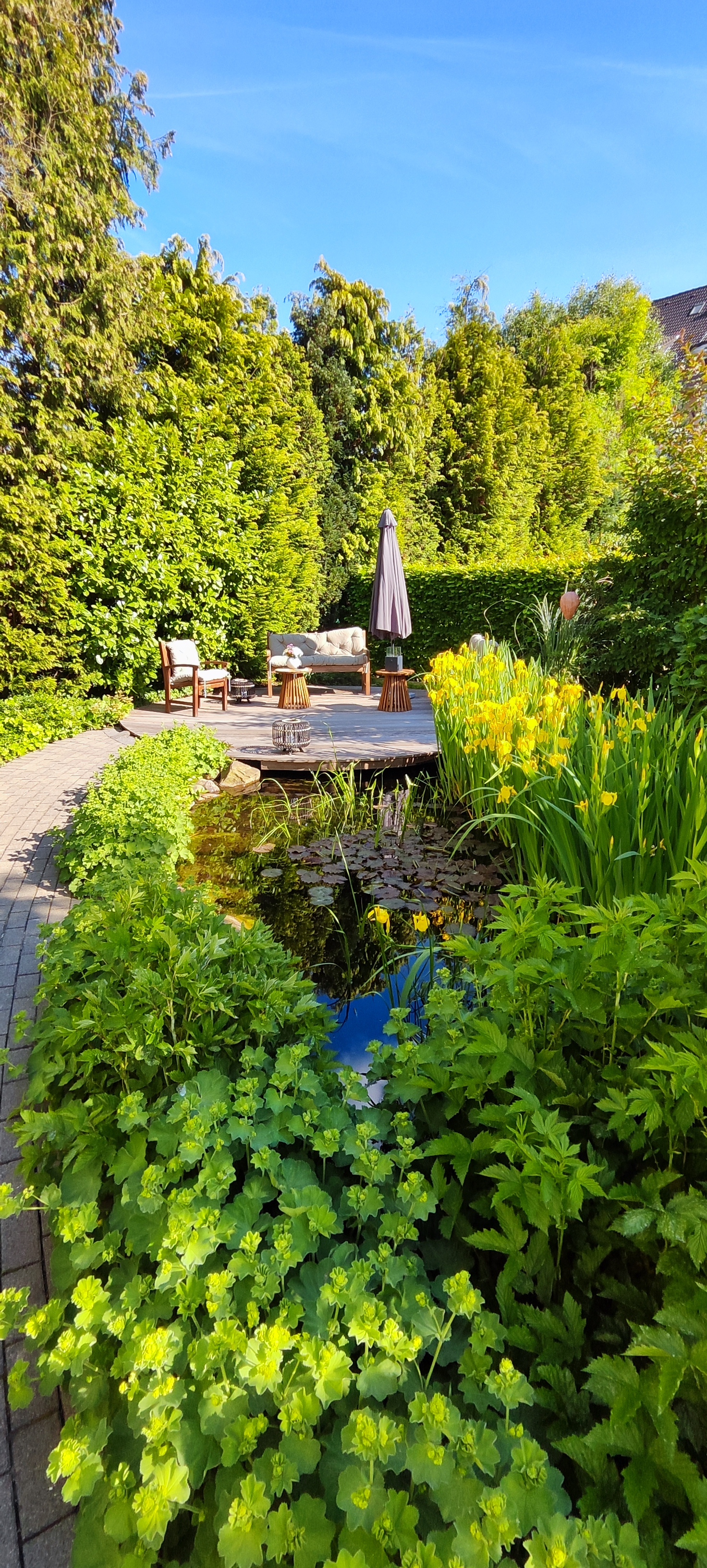 Seerosenteich und Sonnendeck